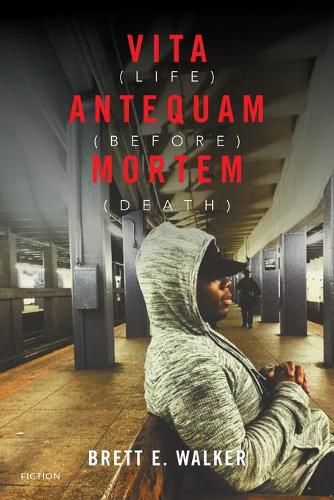 Cover image for Vita Antequam Mortem: Life Before Death