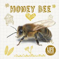 Cover image for Honey Bee