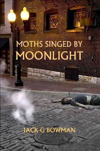 Cover image for Moths Singed by Moonlight