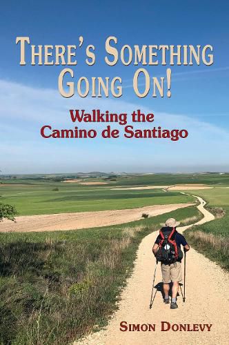 Cover image for There's something going on!: Walking the Camino de Santiago