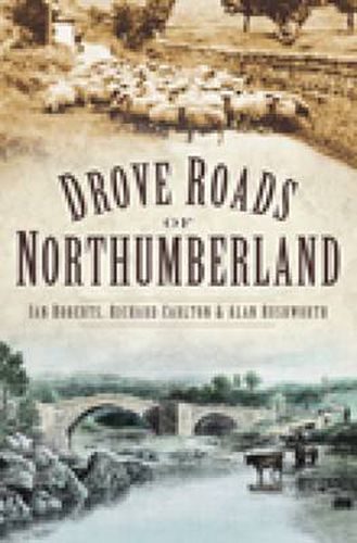 Cover image for Drove Roads of Northumberland