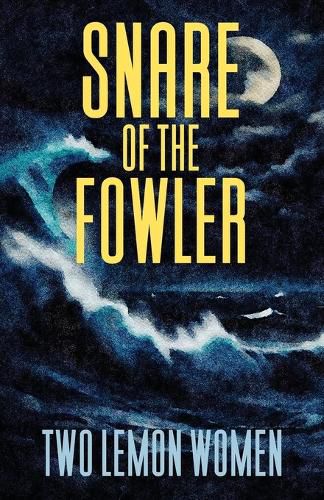 Cover image for Snare of the Fowler