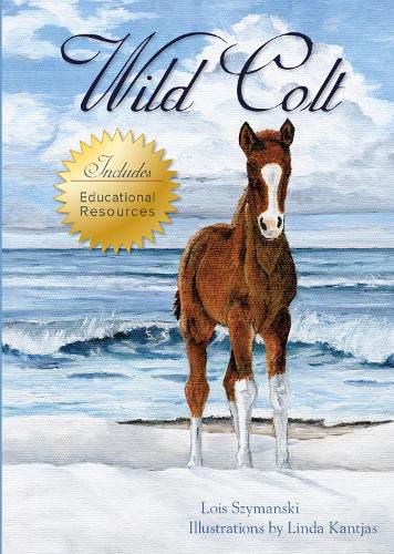 Cover image for Wild Colt