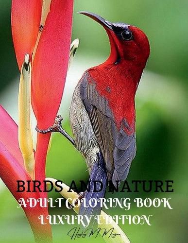 Cover image for Birds and Nature Adult Coloring Book Luxury Edition