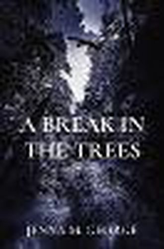 Cover image for A Break in the Trees