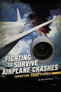 Cover image for Airplane Crashes