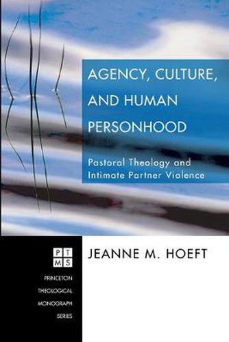 Cover image for Agency, Culture, and Human Personhood: Pastoral Theology and Intimate Partner Violence