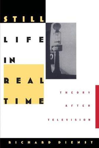 Still Life in Real Time: Theory After Television