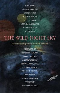 Cover image for The Wild Night Sky