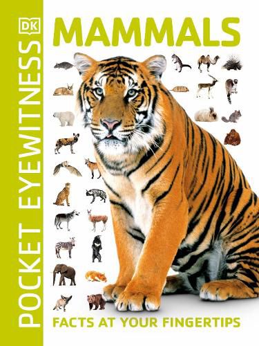 Cover image for Mammals: Facts at Your Fingertips