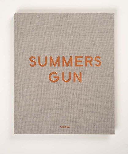 Cover image for Daniel Hesidence - Summers Gun