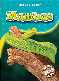 Cover image for Mambas