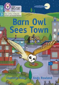 Cover image for Barn Owl Sees Town: Phase 3 Set 1 Blending Practice