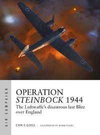 Cover image for Operation Steinbock 1944