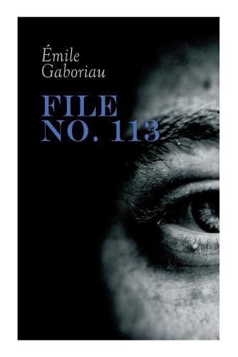 Cover image for File No. 113