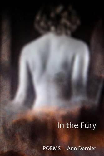 Cover image for In the Fury