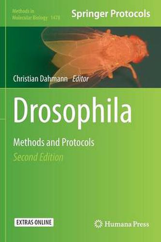 Cover image for Drosophila: Methods and Protocols