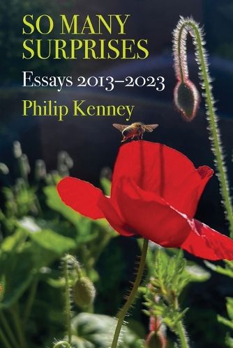 Cover image for So Many Surprises
