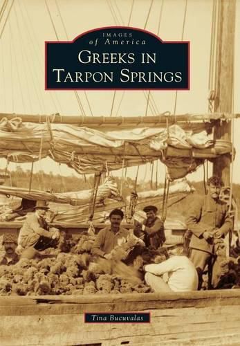 Cover image for Greeks in Tarpon Springs