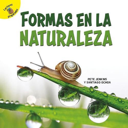 Cover image for Formas En La Naturaleza: Shapes in Nature