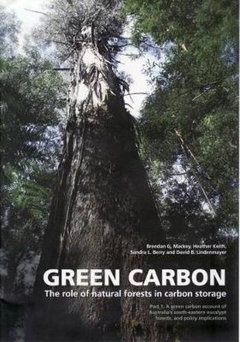 Green Carbon Part 1: The Role of Natural Forests in Carbon Storage