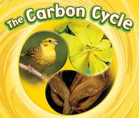 Cover image for The Carbon Cycle