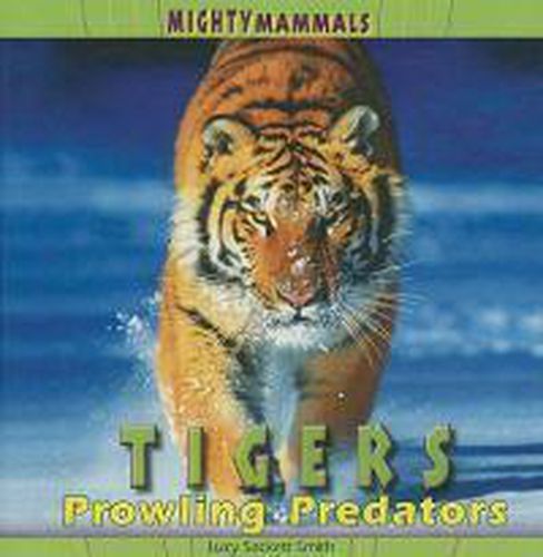 Cover image for Tigers