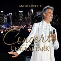 Cover image for Concerto One Night In Central Park