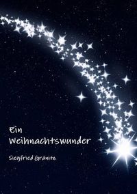 Cover image for Ein Weihnachtswunder