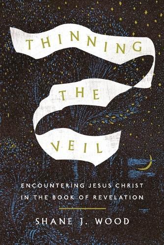 Cover image for Thinning the Veil