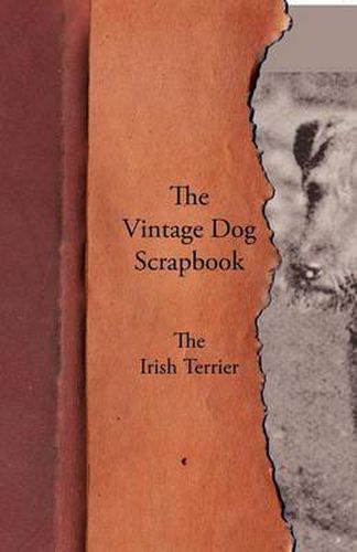 The Vintage Dog Scrapbook - The Irish Terrier