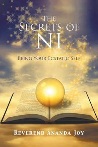 Cover image for The Secrets of NI