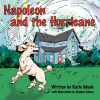 Cover image for Napoleon and the Hurricane