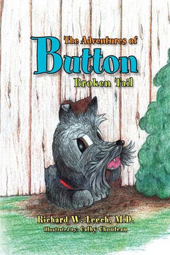 Cover image for The Adventures of Button