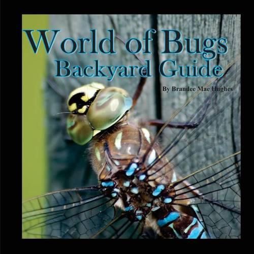 Cover image for World of Bugs 2: Backyard Guide