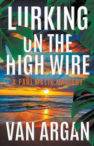 Cover image for Lurking on the High Wire