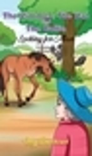 Cover image for The Zimmer, The Hat and The Collie