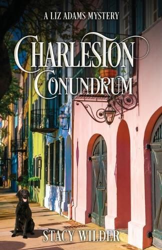 Cover image for Charleston Conundrum