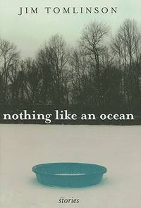 Cover image for Nothing Like an Ocean: Stories