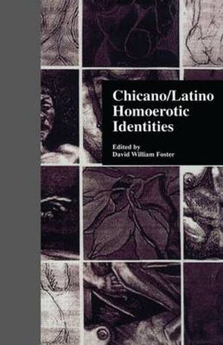 Cover image for Chicano/Latino Homoerotic Identities