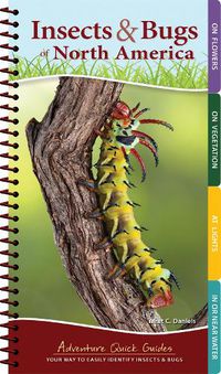 Cover image for Insects & Bugs of North America: Your Way to Easily Identify Insects & Bugs