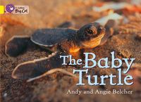 Cover image for The Baby Turtle: Band 03/Yellow