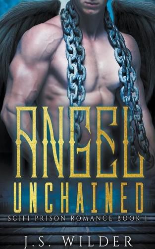 Cover image for Angel Unchained