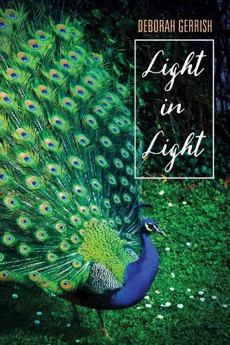 Cover image for Light in Light