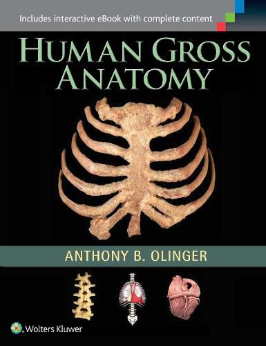 Cover image for Human Gross Anatomy