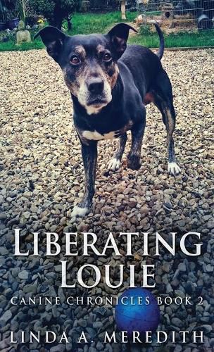 Cover image for Liberating Louie: The Road To Rutland