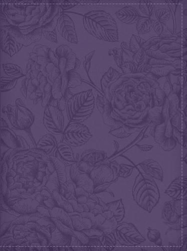 Cover image for Our Daily Bread Devotional Journal