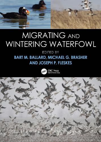 Cover image for Migrating and Wintering Waterfowl