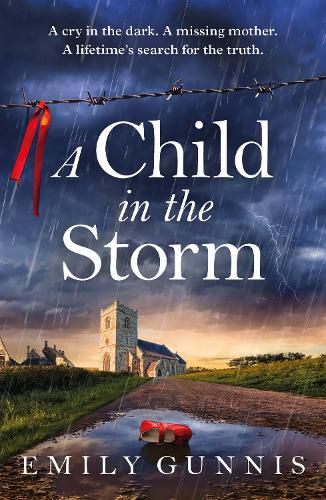 Cover image for A Child in the Storm