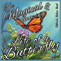 Cover image for The Magical and Amazing Life of a Butterfly